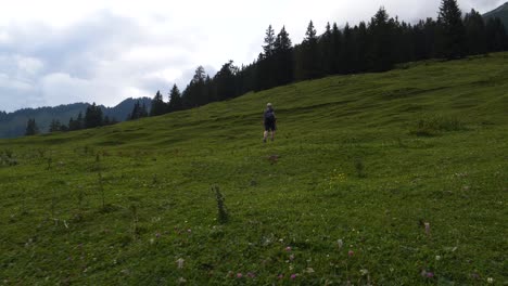 man walking hiking up trail grass in the mountains austrian alps