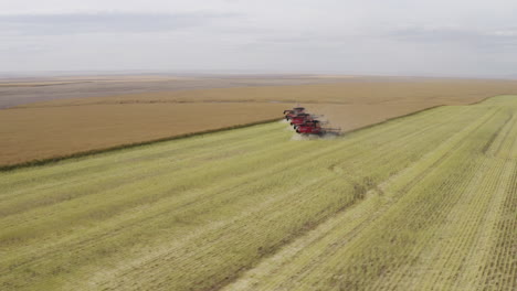 Tres-Máquinas-Cosechadoras-Trabajando-Juntas-En-El-Campo-De-Canola,-Antena