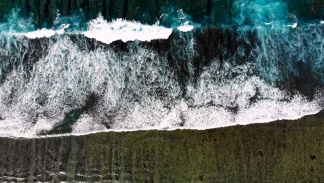 aerial view of waves in tropical ocean and reef