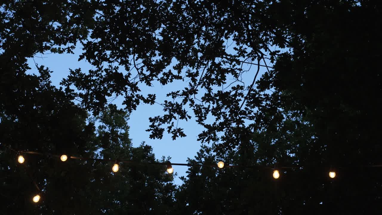 String lights glowing under a canopy of leaves against a twilight sky