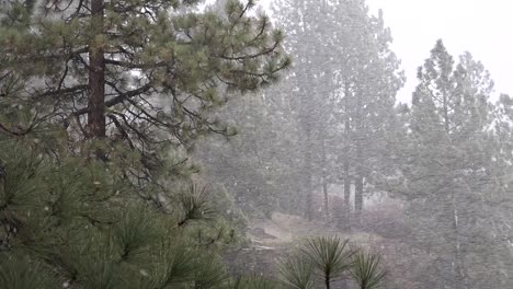 Una-Tormenta-De-Nieve-Cegadora-Azota-Las-Montañas-De-Sierra-Nevada-1