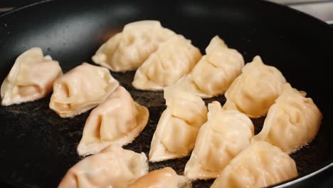 cooking dumplings in a pan
