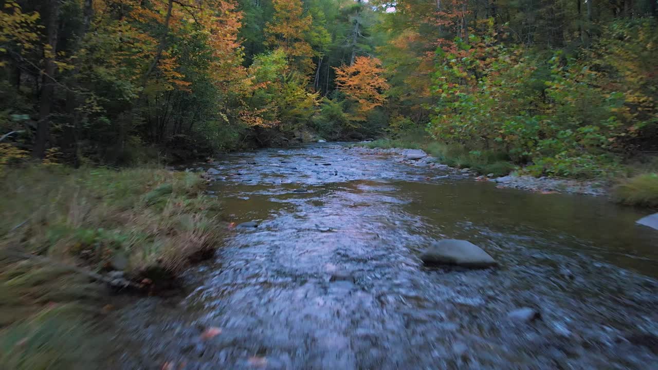Lav, jævn, hurtig dronevideo af en smuk appalachisk skovbæk om efteråret