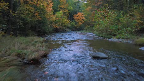 low smooth fast drone video footage of a beautiful appalachian forest stream during autumn