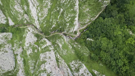 top down aerial view of foces del pino route