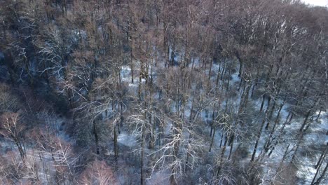 Luftaufnahme-Der-Winterlandschaft-Des-Blattlosen-Waldes-Und-Der-Verschneiten-Ländlichen-Landschaft