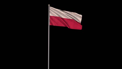 poland flag with alpha channel, 4k video is transparent