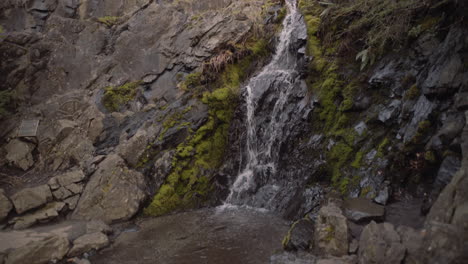 Revealing-shot-of-small-waterfall-in-Victoria-park,-Vancouver