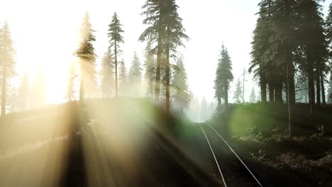 Flug-über-Eine-Von-Wald-Umgebene-Eisenbahn-Mit-Sonnenstrahlen
