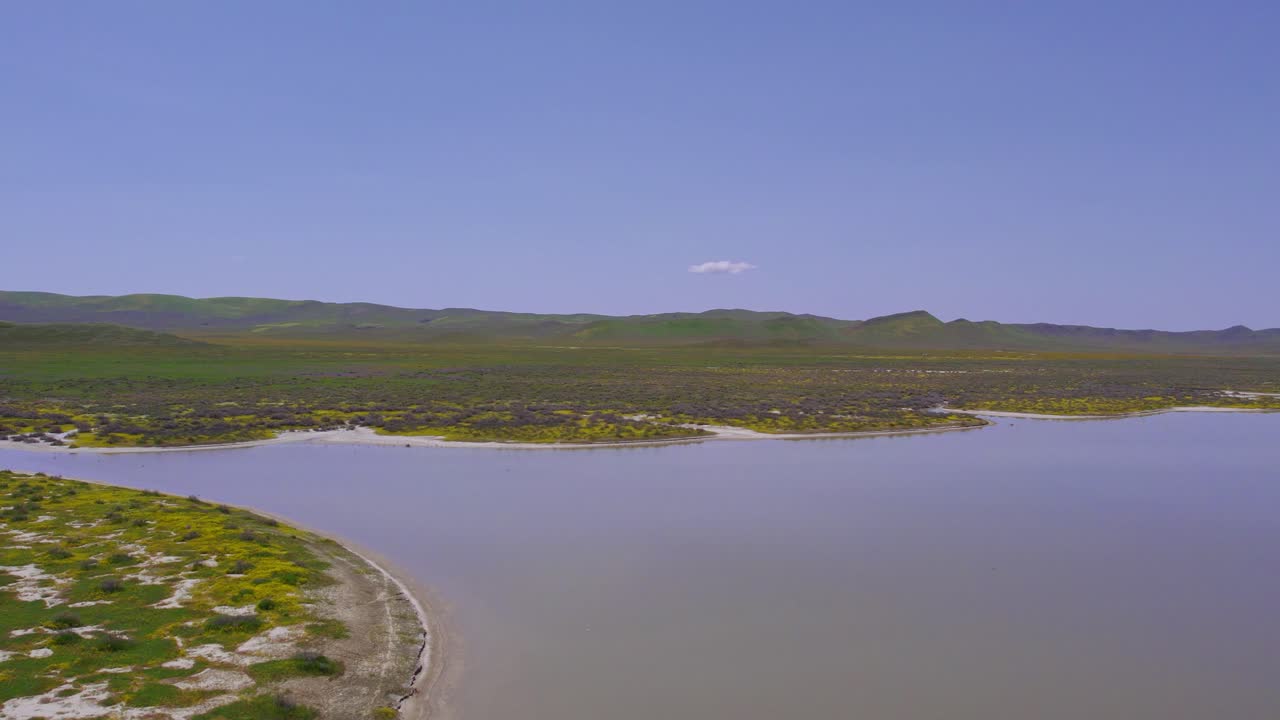Aerial Bird's Eye View of Carrizo Plain in California During the Superbloom
