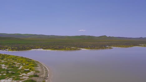 vista aérea de pájaro de la llanura de carrizo en california durante la superflor