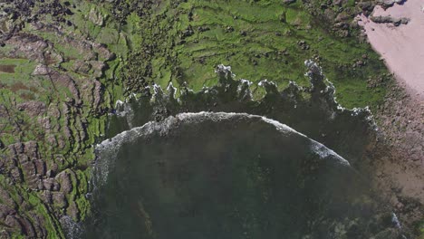 Drone-approaching-the-beach-with-green-algae-and-moving-inland-towards-the-rocks-at-bahia-bustamante,-pinguinera