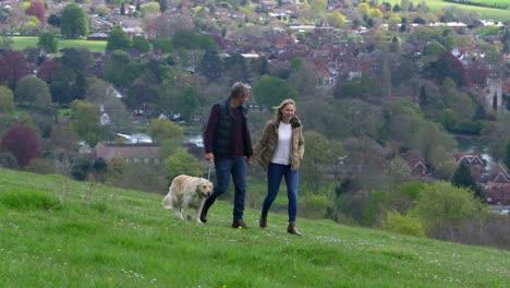 mature couple taking golden retriever for walk shot on r3d