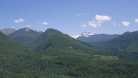 Stunning-Landscape-Of-Green-Forest-At-Gifford-Pinchot-With-Mount-Rainier-National-Park-In-The-Background-Under-The-Bright-Blue-Sky-In-Washington,-USA