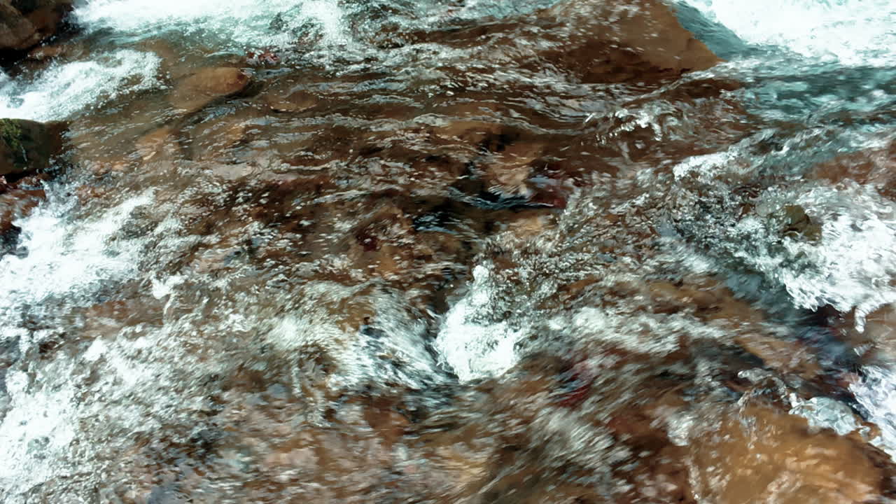 Sorgente nella foresta con acqua blu e limpida. Acqua spumeggiante al rallentatore.