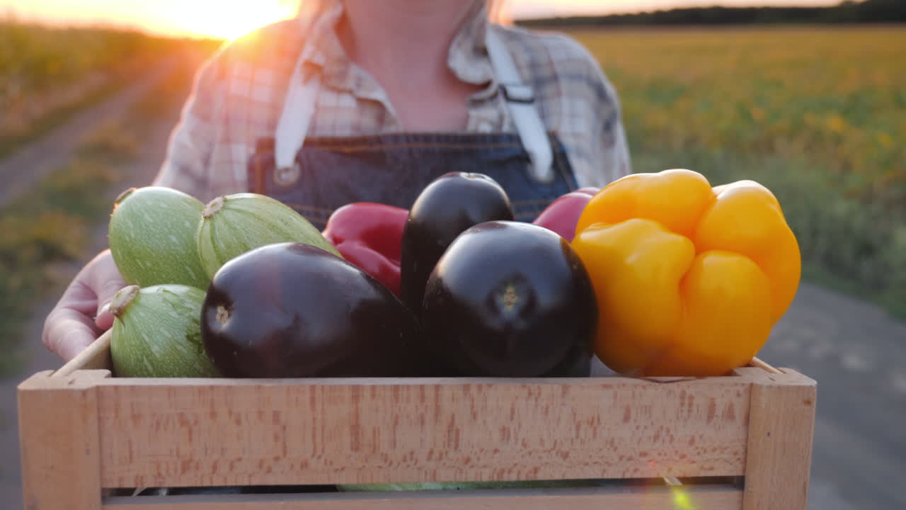 agricultor sosteniendo una caja de madera llena de verduras al atardecer
