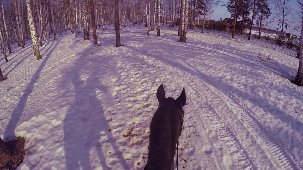 montar a caballo en un bosque nevado