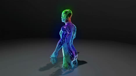 cybernetic human figure