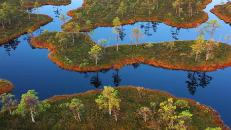 passage over a saturated and colorful swamp