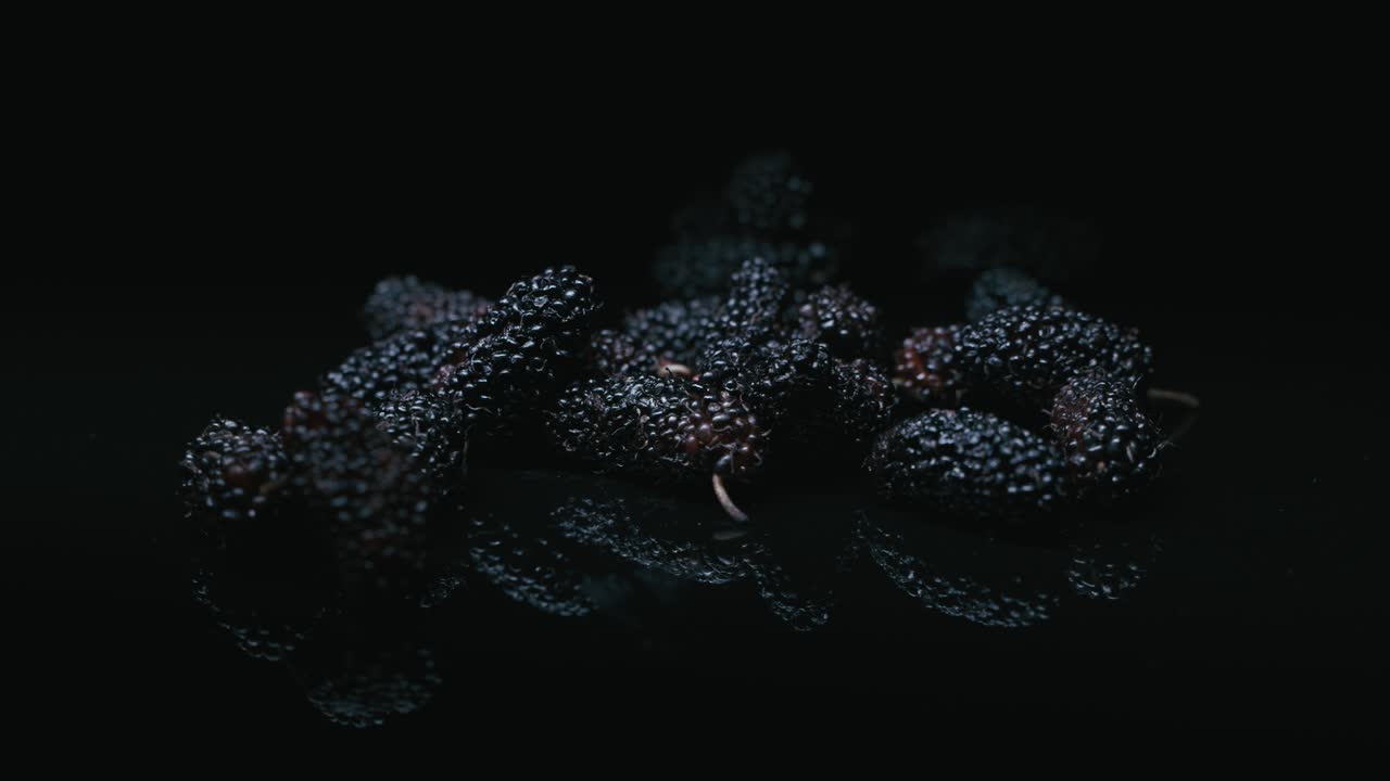 Blackberry fruit is very tasty and has a lot of nutritional value