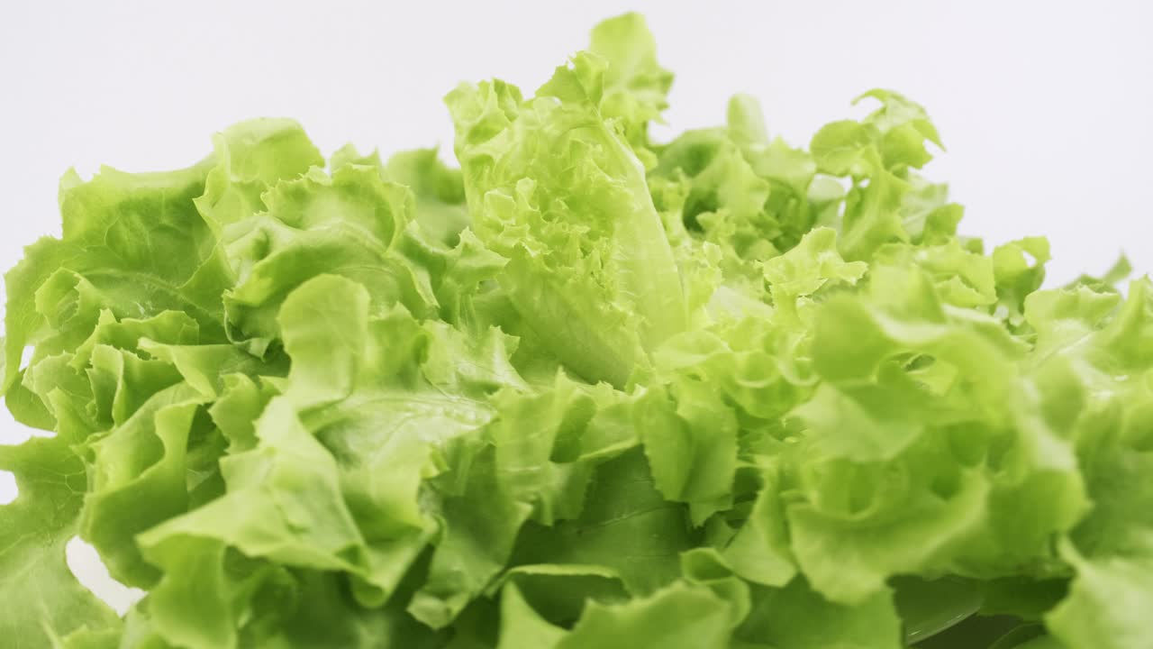 la lechuga fresca de roble verde plantada al estilo hidropónico está bellamente colocada y gira lentamente