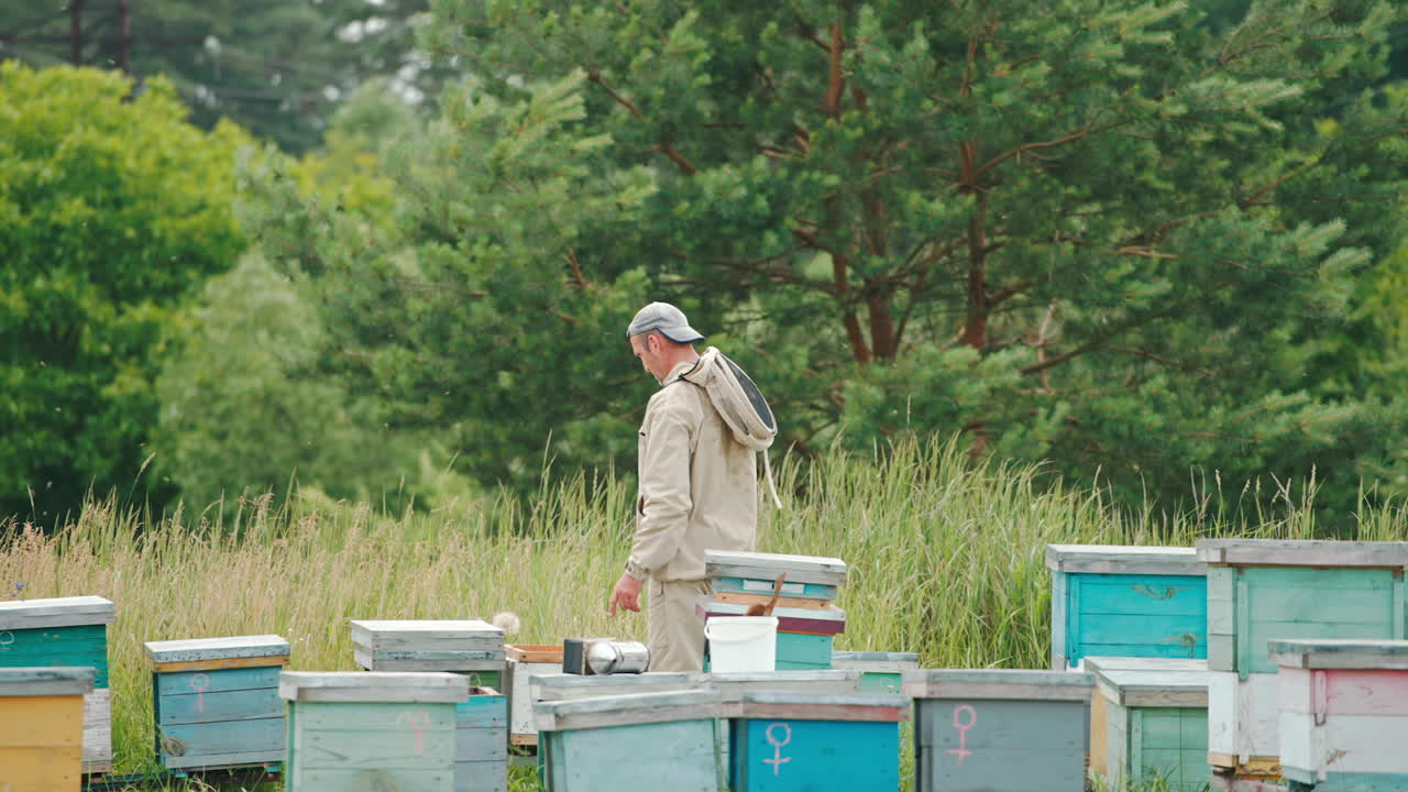 Apiarist standing at his bee farm located near the woods. Man is walking and choosing the hive to check up. Nature backdrop.