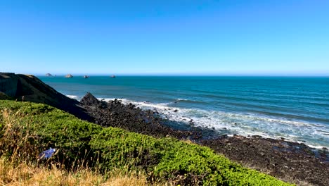 pacific ocean oregon shore line