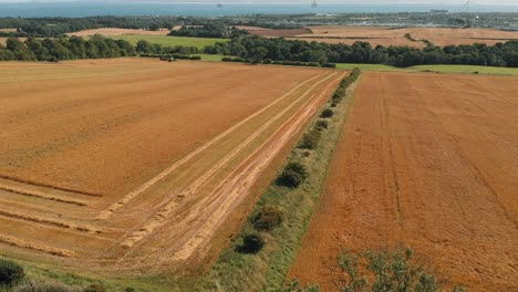 Drone-shot-of-harvester-in-field-with-with-sea,-wind-turbine-and-rigs-in-the-distance