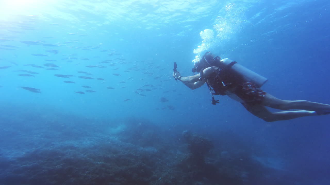 한 번에 한 번의 다이빙을 즐기고