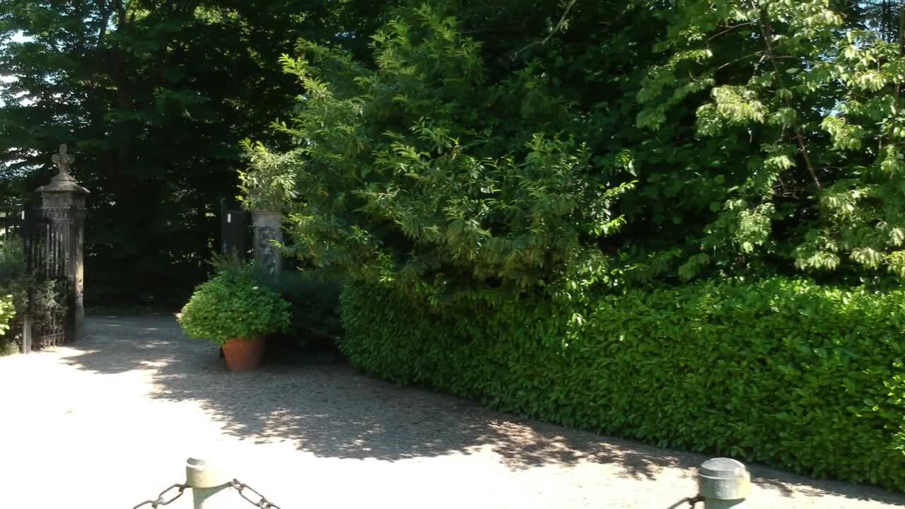 vista aérea de derecha a izquierda de los árboles en un hermoso bosque