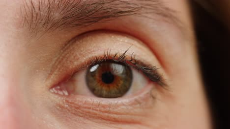 primer plano del ojo de una mujer.