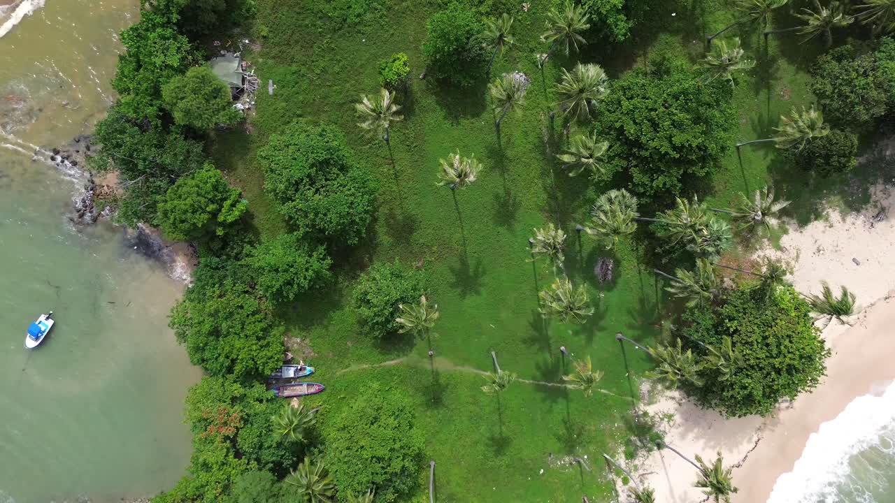 Scenic top down drone footage showing a remote tropical beach on Koh Lanta, Thailand, with lush palm trees and grass, turquoise ocean, sandy shore and untouched coastal scenery
