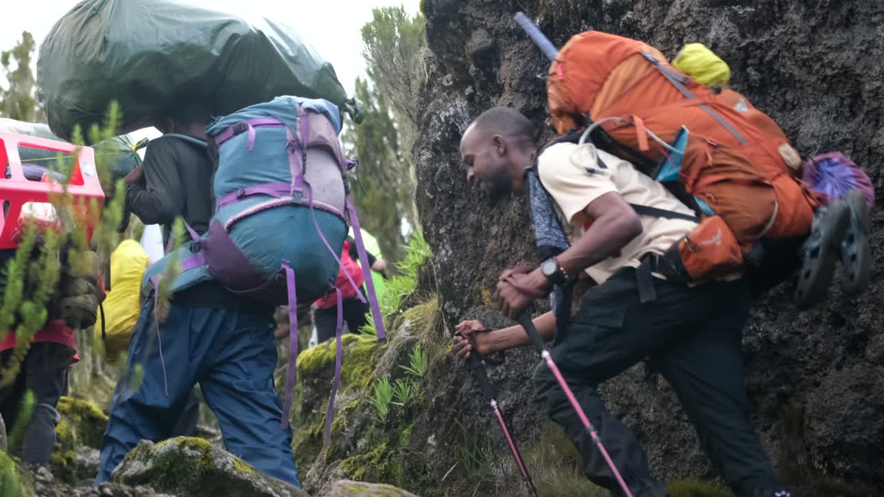 excursionistas con un guía, un grupo de portadores con equipo pesado durante el ascenso del kilimanjaro