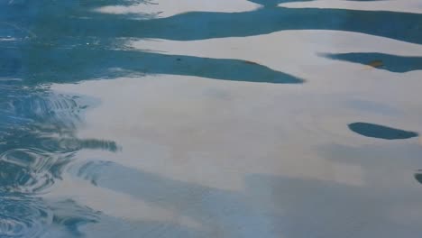 video of waves and water ripples in pond
