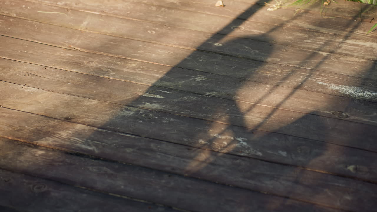 Lady Reads Outside, Woman Enjoying Outdoor Reading Session, Peaceful Moment Captured Of Woman Immersed In Book Outdoors, Tranquil Setting Showing Woman Engaged In Reading On Sunlit Backyard Patio