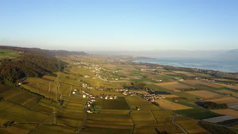 Viñedos-Otoñales-En-La-Región-Vinícola-De-La-Côte-En-Vaud,-Suiza---Panorámica-Aérea