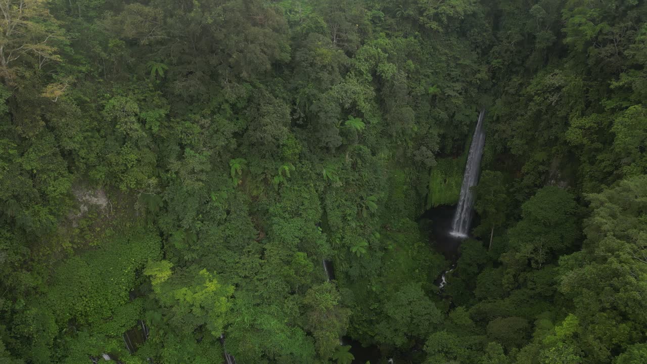 una cascada aislada rodeada de selva en el norte de bali, indonesia