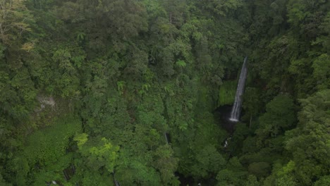 an isolated waterfall surrounded by jungle in the north of bali, indonesia