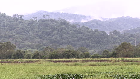 POV-Pan-shot-along-the-Tarcoles-river,view-on-Carara-National-Park-with-clouds-over-the-mountains