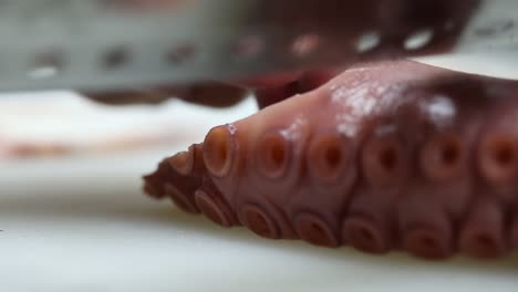 a chief cut a octopus for dinner, close up shot, insert shot