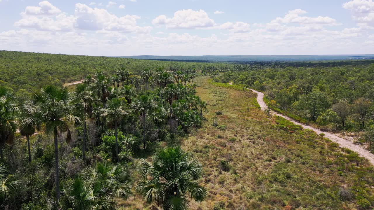 Brazilian Cerrado aerial view showing degraded vegetation beside a winding dry riverbed, illustrating desertification, erosion and habitat loss in this savanna landscape