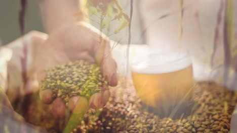 video compuesto de la mano sosteniendo granos y vaso de cerveza contra la hierba que se mueve en el viento