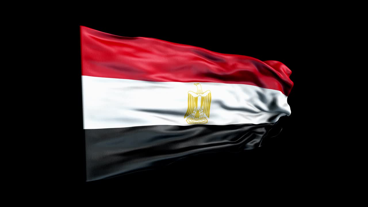 현실적인 이집트 발은 3d 애니메이션을 흔들고 있습니다. 이집트의 국기. 4k 이집트 플래그 원활한 루프 애니메이션.