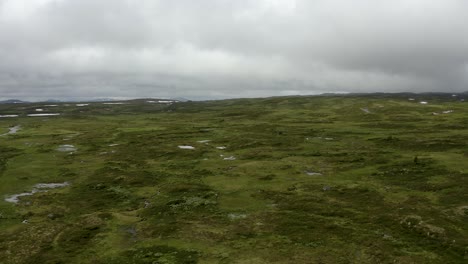 Green-valley-in-Northern-Europe