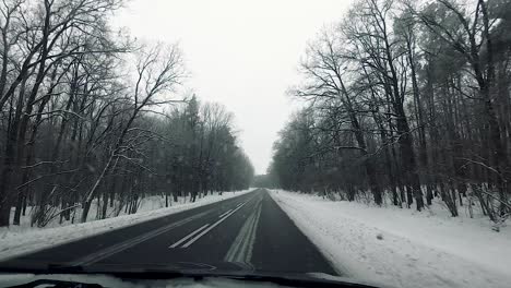 POV-vehicle-drive-countryside-wet-road-winter-scenery-snow-forest-bare-trees-dirty-window-gopro-point-of-view-car-travel-cloudy-sky