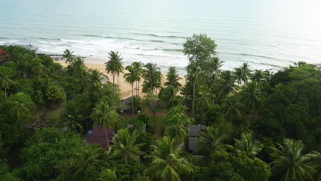 Antena-Sobre-La-Playa-De-Khong-Klong-En-La-Isla-De-Koh-Lanta-Yai,-Playa-Tropical-De-Palmeras-Solitarias-De-Tailandia-En-Un-Día-Soleado-Y-Brillante