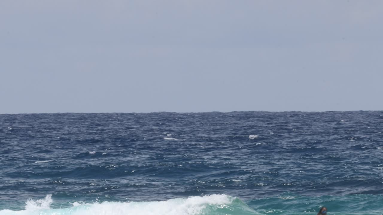 바다에서 수영하는 사람 파도를 잡고 타는 사람