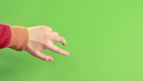 gesto de la mano aislado en fondo verde en el estudio
