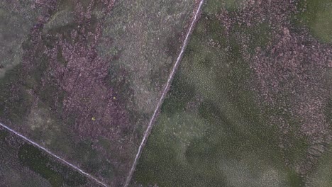 la antena mira directamente hacia abajo en la valla de piedra en el páramo escocés accidentado