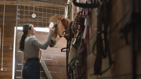 dos hermosas chicas acariciando un caballo